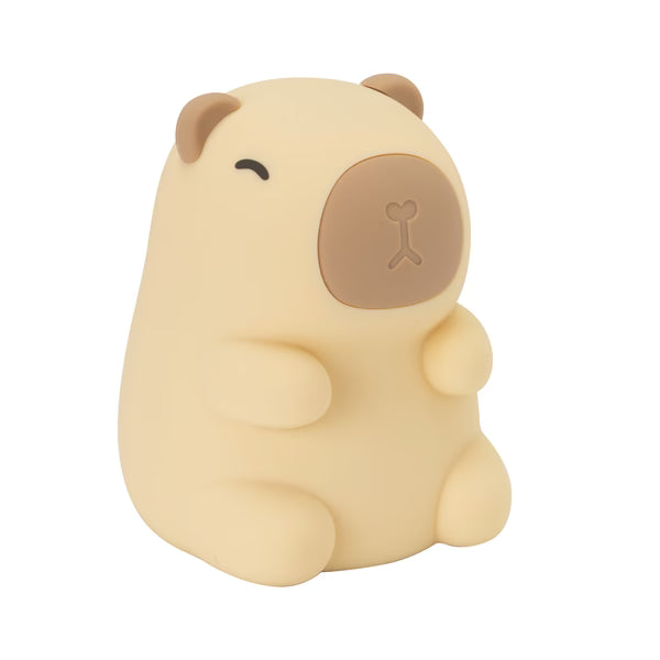 ΕΠΑΝΑΦΟΡΤΙΖΟΜΕΝΟ ΦΩΤΑΚΙ ΝΥΚΤΟΣ LED ΚΑΠΙΜΠΑΡΑ