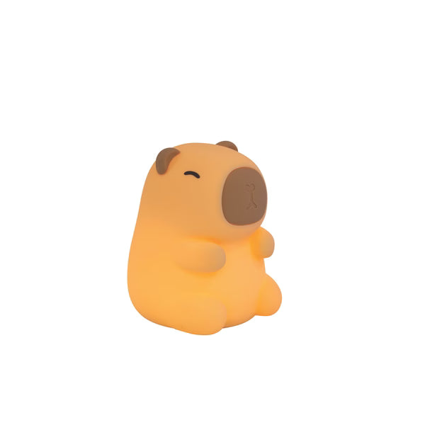 ΕΠΑΝΑΦΟΡΤΙΖΟΜΕΝΟ ΦΩΤΑΚΙ ΝΥΚΤΟΣ LED ΚΑΠΙΜΠΑΡΑ