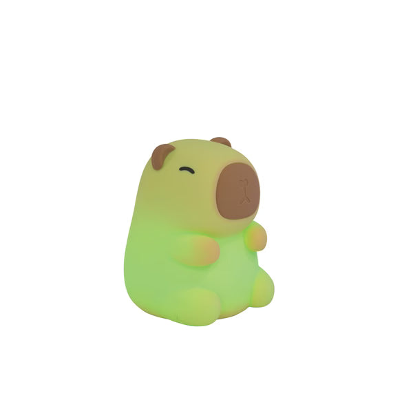 ΕΠΑΝΑΦΟΡΤΙΖΟΜΕΝΟ ΦΩΤΑΚΙ ΝΥΚΤΟΣ LED ΚΑΠΙΜΠΑΡΑ