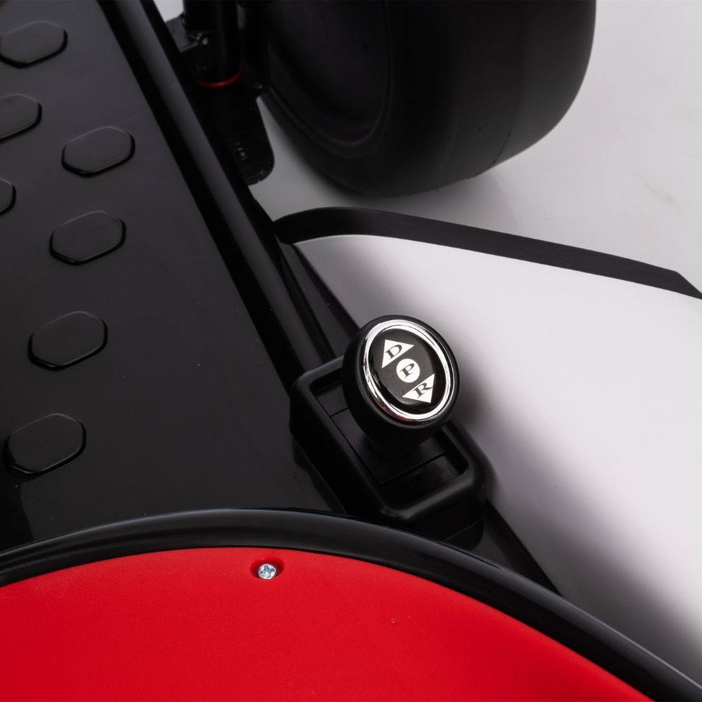 Go Kart R1 24V drift edition electric bulls